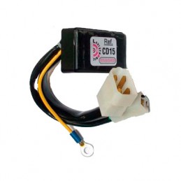 Modulo CDI Sustituto...